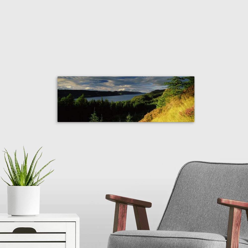 A modern room featuring Trees on a landscape Loch Ness Farigaig Forest Inverness shire Highlands Region Scotland