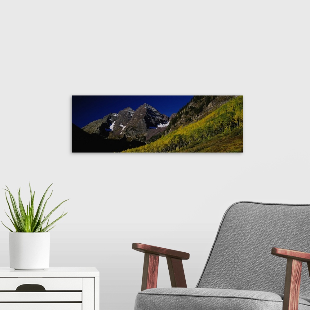 A modern room featuring Panoramic wall art of a photograph looks up a mountainside covered with trees and mountain peaks ...