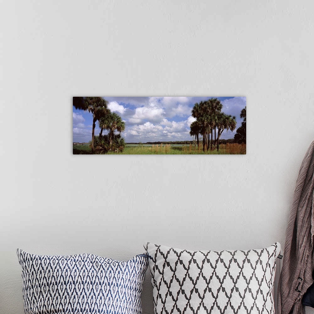 A bohemian room featuring Trees on a landscape Myakka River Myakka River State Park Sarasota County Florida
