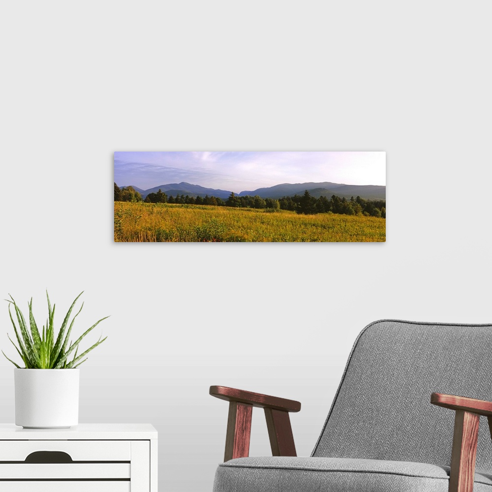 A modern room featuring Trees on a landscape with mountains in the background, Lake Placid, Adirondack Mountains, New Yor...