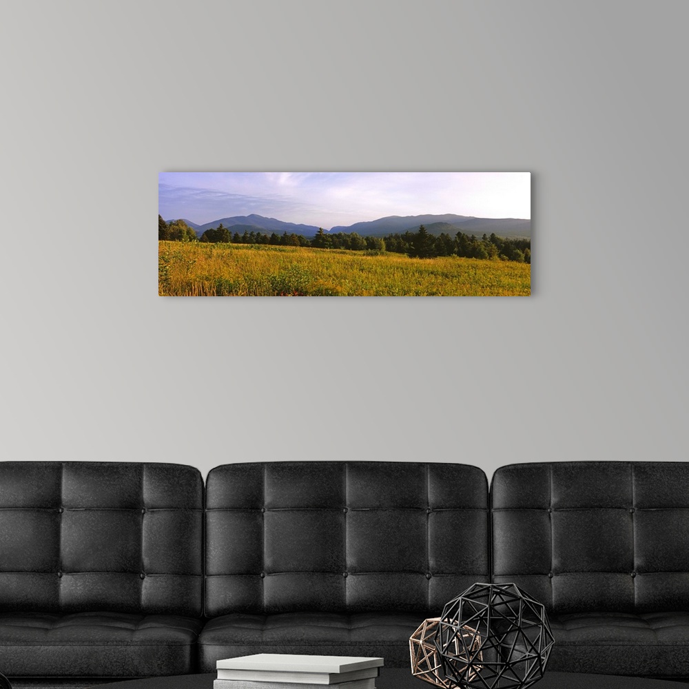 A modern room featuring Trees on a landscape with mountains in the background, Lake Placid, Adirondack Mountains, New Yor...