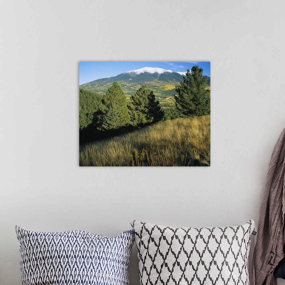 A bohemian room featuring Trees on a landscape with snowcapped mountains in the background, Hart Prairie, Kachina Peaks Wil...