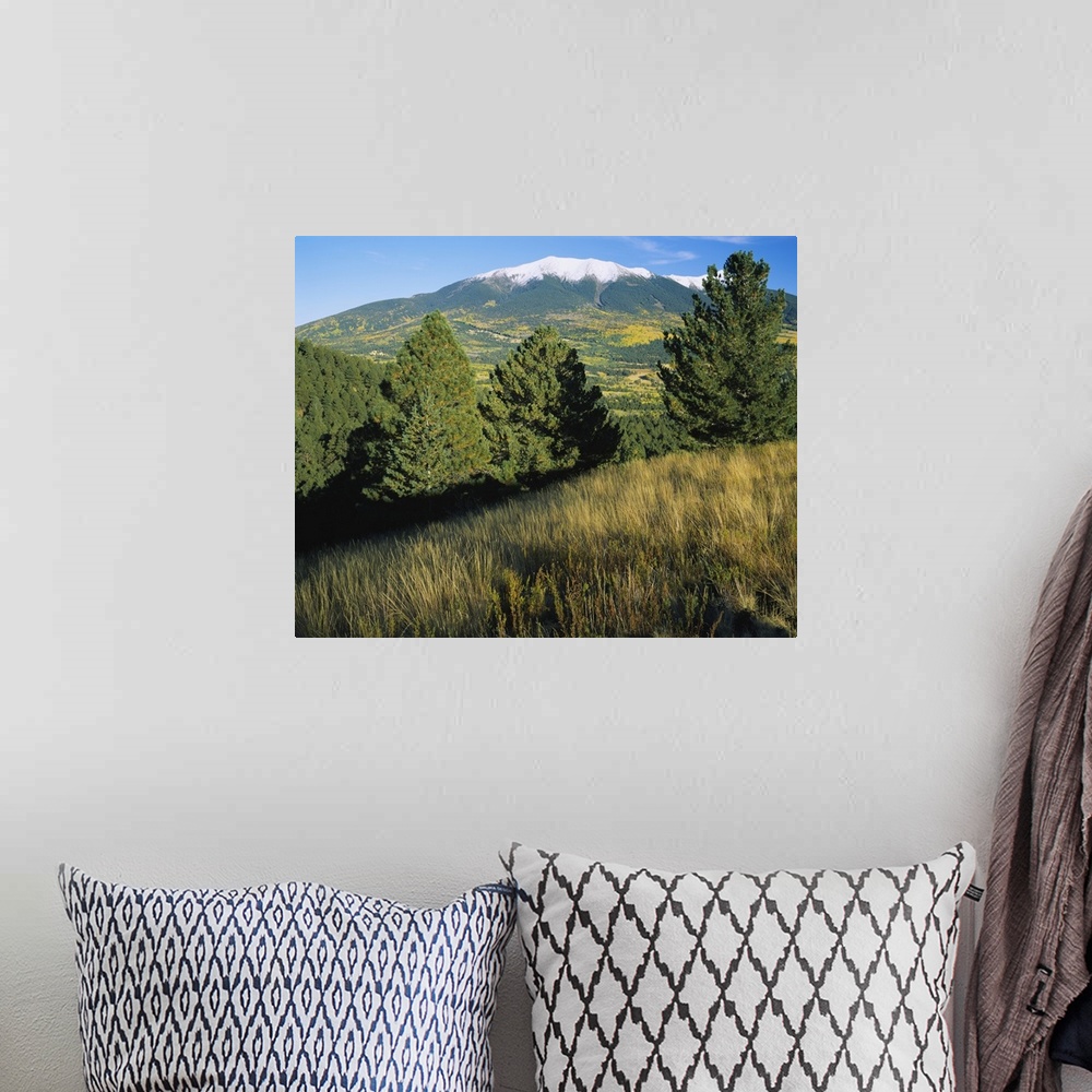 A bohemian room featuring Trees on a landscape with snowcapped mountains in the background, Hart Prairie, Kachina Peaks Wil...
