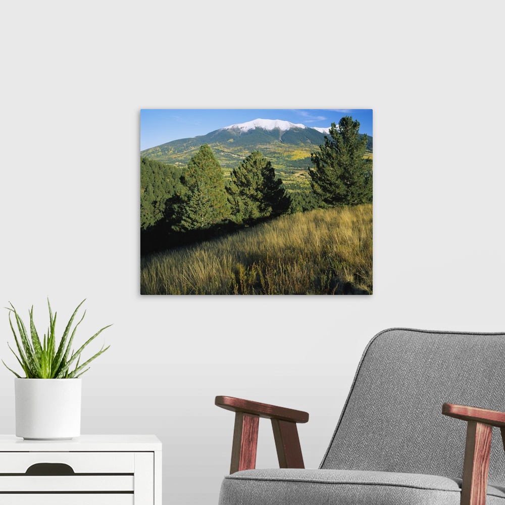 A modern room featuring Trees on a landscape with snowcapped mountains in the background, Hart Prairie, Kachina Peaks Wil...