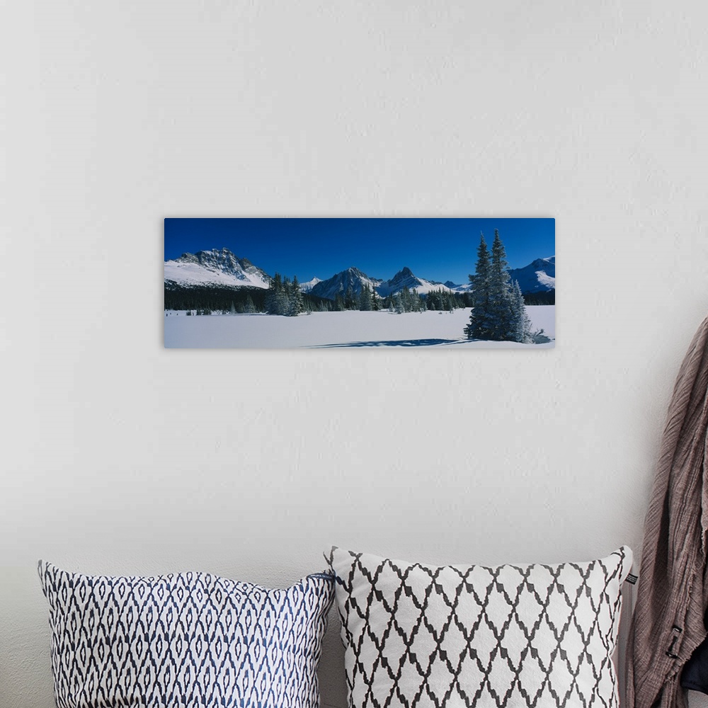 A bohemian room featuring Trees on a snow covered landscape, Astoria Valley, Jasper National Park, Alberta, Canada
