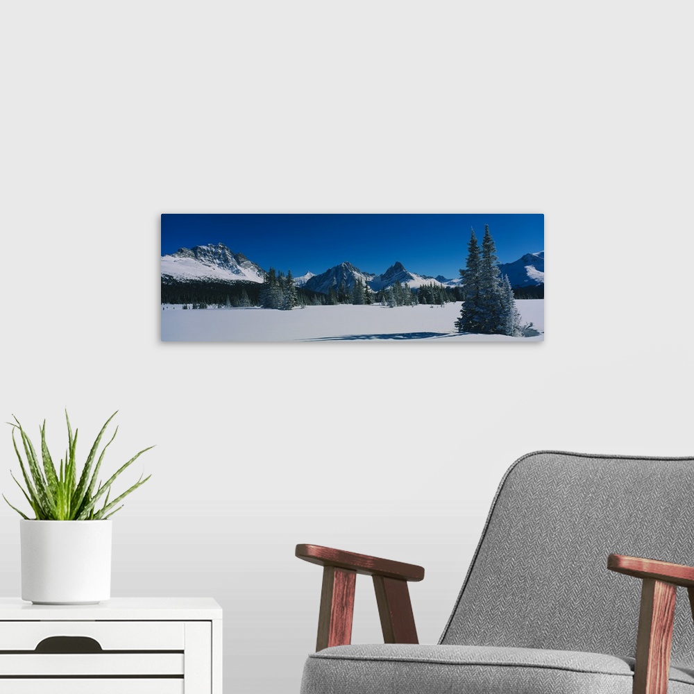 A modern room featuring Trees on a snow covered landscape, Astoria Valley, Jasper National Park, Alberta, Canada