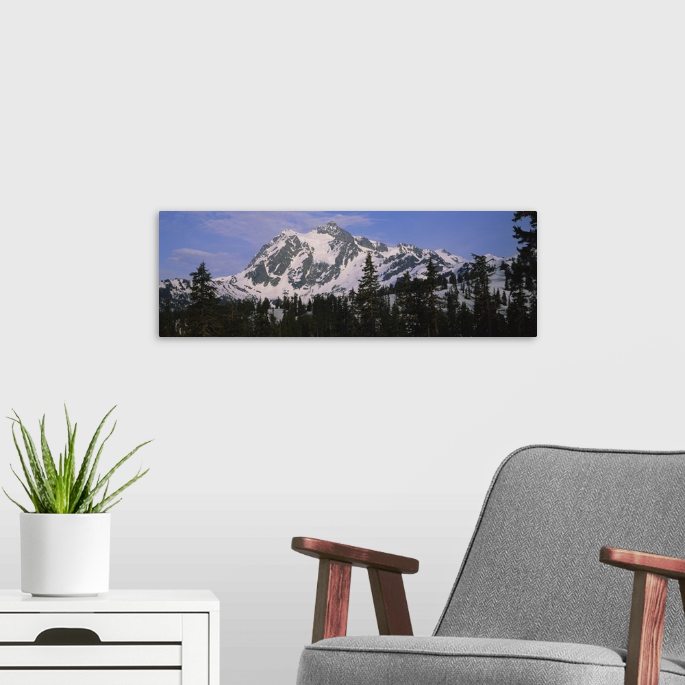 A modern room featuring Trees on a snow covered mountain, Mt Shuksan, Mt Baker-Snoqualmie National Forest, Washington State