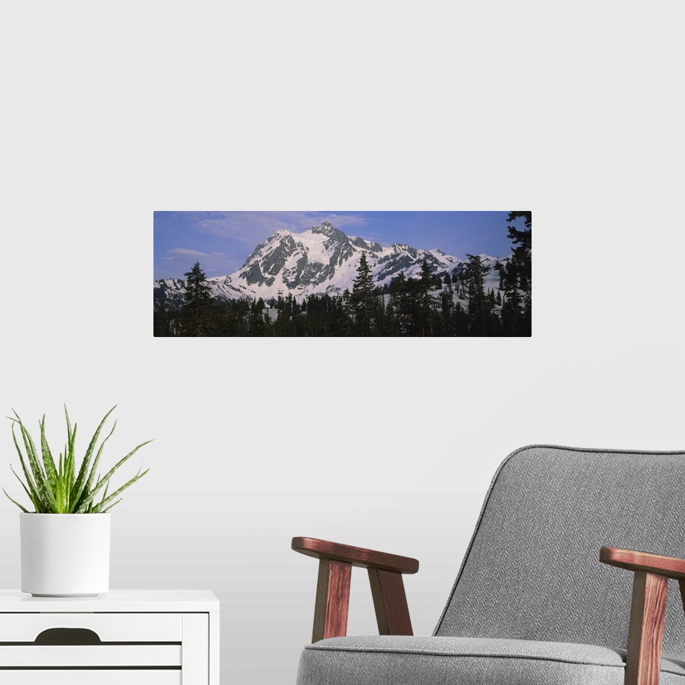 A modern room featuring Trees on a snow covered mountain, Mt Shuksan, Mt Baker-Snoqualmie National Forest, Washington State