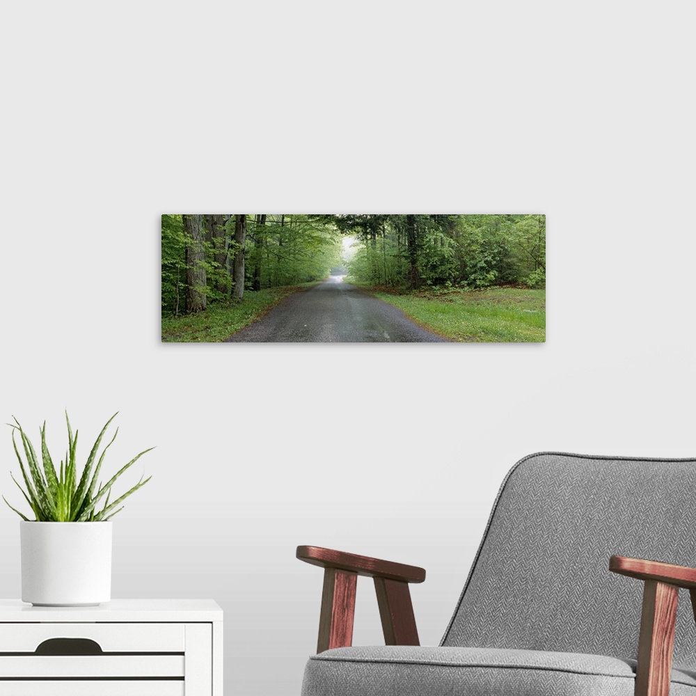 A modern room featuring Trees on both sides of a road, Chestnut Ridge County Park, Orchard Park, Erie County, New York State