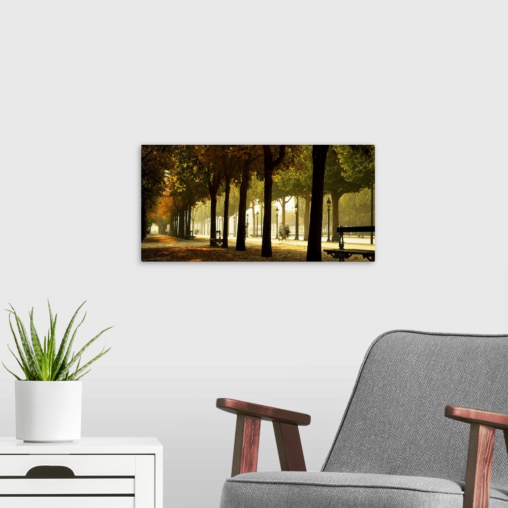 A modern room featuring Panoramic photograph portrays a long sidewalk covered with leaves within Paris, France that is su...