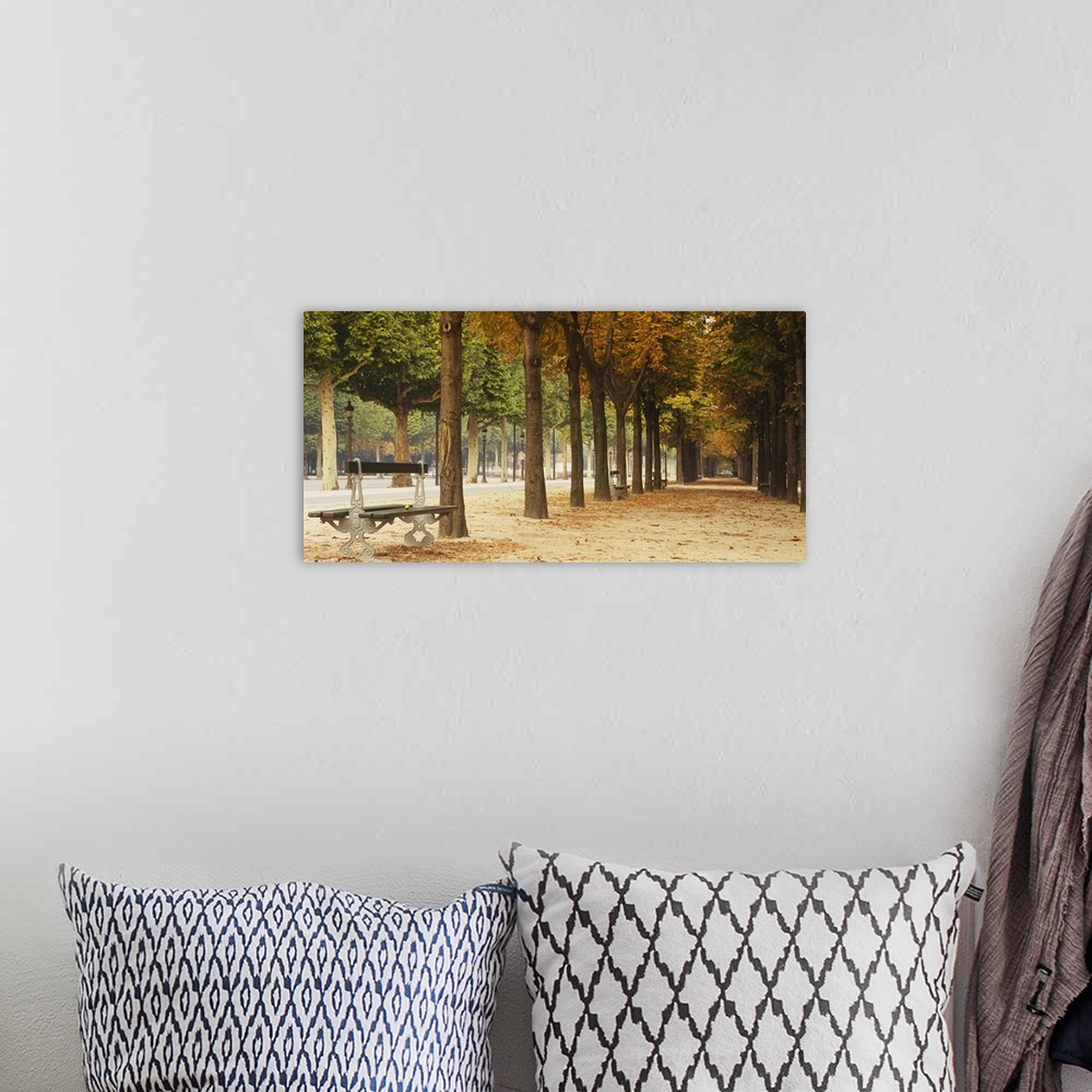 A bohemian room featuring This panoramic photograph is looking down a long path with both trees and benches lining the sides.