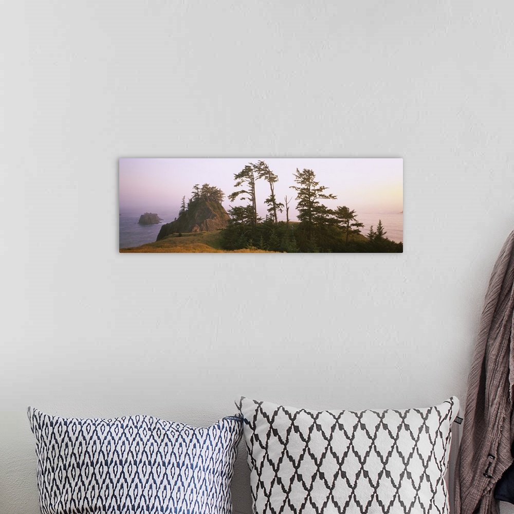 A bohemian room featuring Trees on rocks, Pacific Ocean, Boardman State Park, Oregon