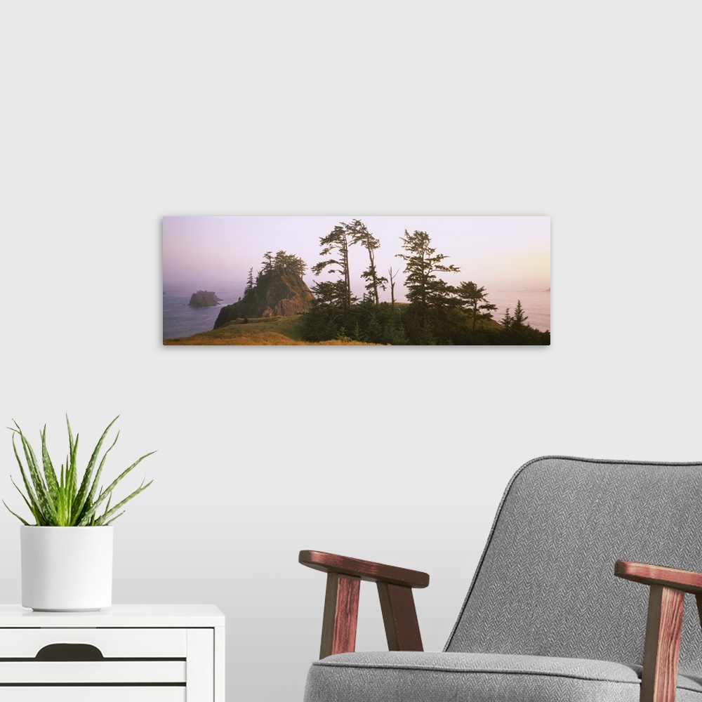 A modern room featuring Trees on rocks, Pacific Ocean, Boardman State Park, Oregon