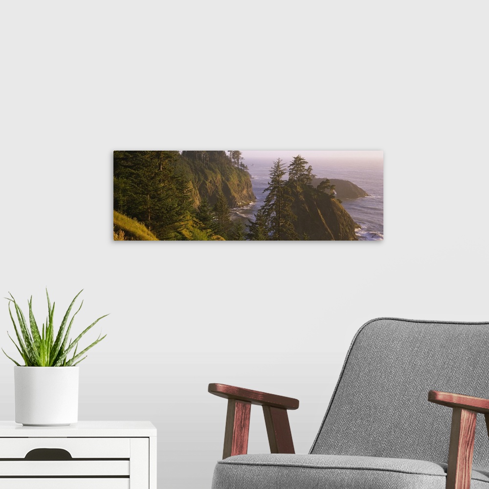 A modern room featuring Trees on rocks, Pacific Ocean, Boardman State Park, Oregon