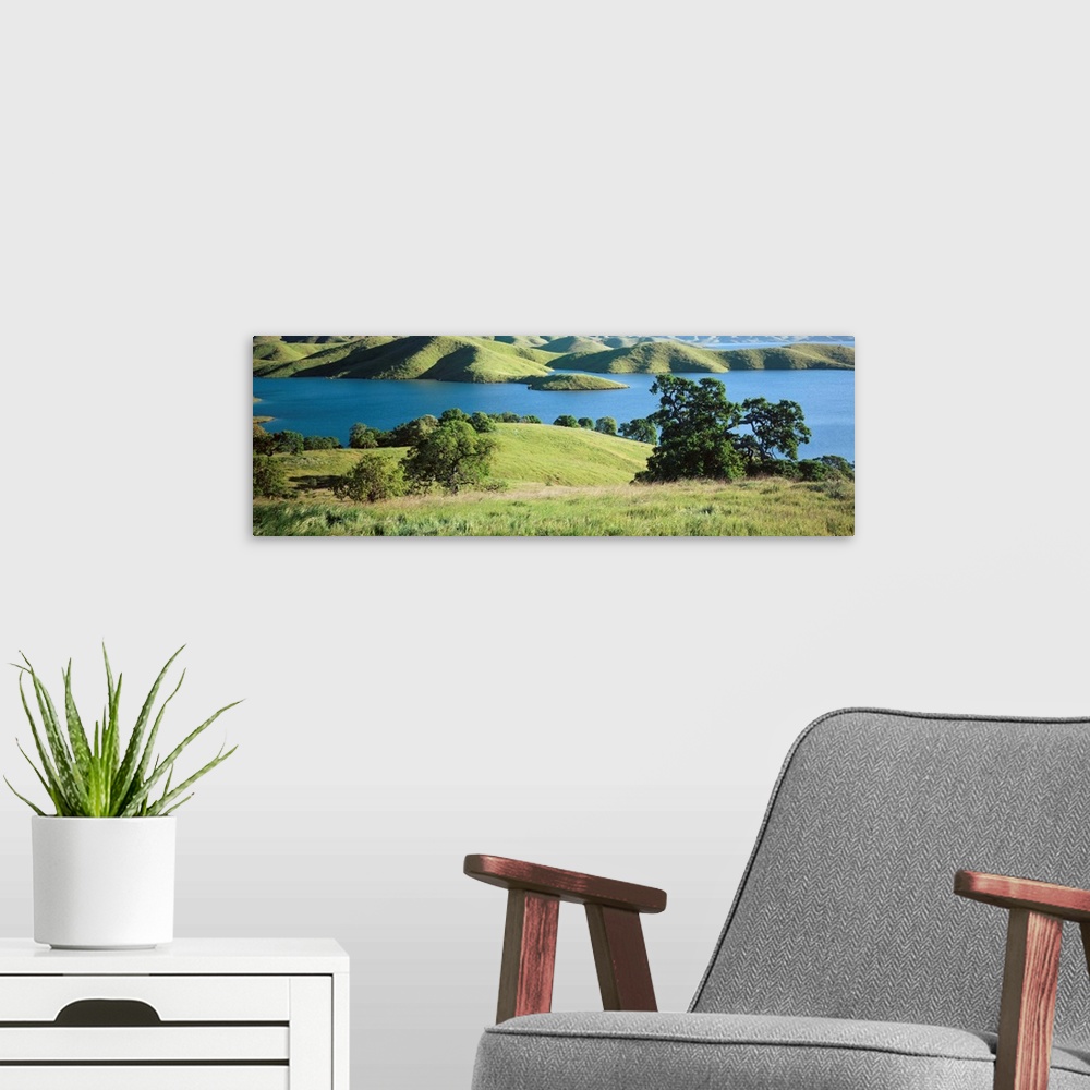 A modern room featuring Trees on the banks of a river, San Luis Reservoir, Dinosaur Point Area, Merced County, California