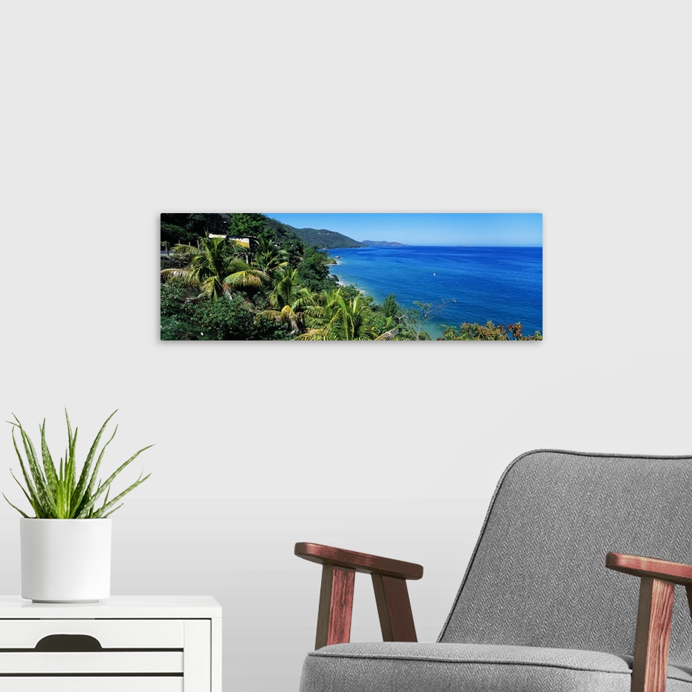 A modern room featuring Oversized landscape photograph of green foliage and palm trees along the shore of Arapito Beach i...