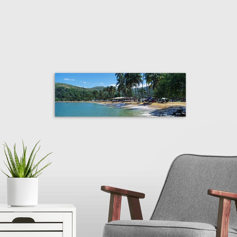 A modern room featuring Trees on the beach Arapito Beach Mochima National Park Anzoategui State Sucre State Venezuela
