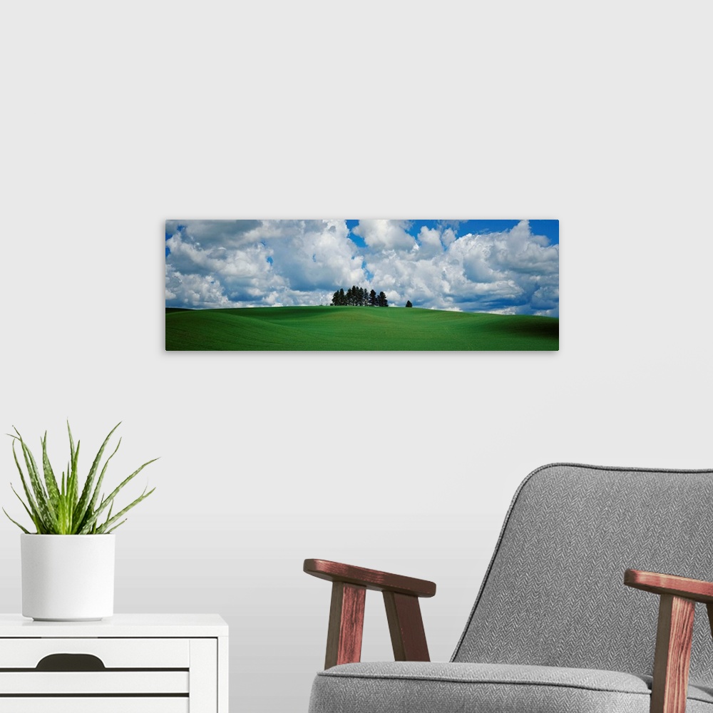 A modern room featuring Trees on the top of a hill, Palouse, Whitman County, Washington State