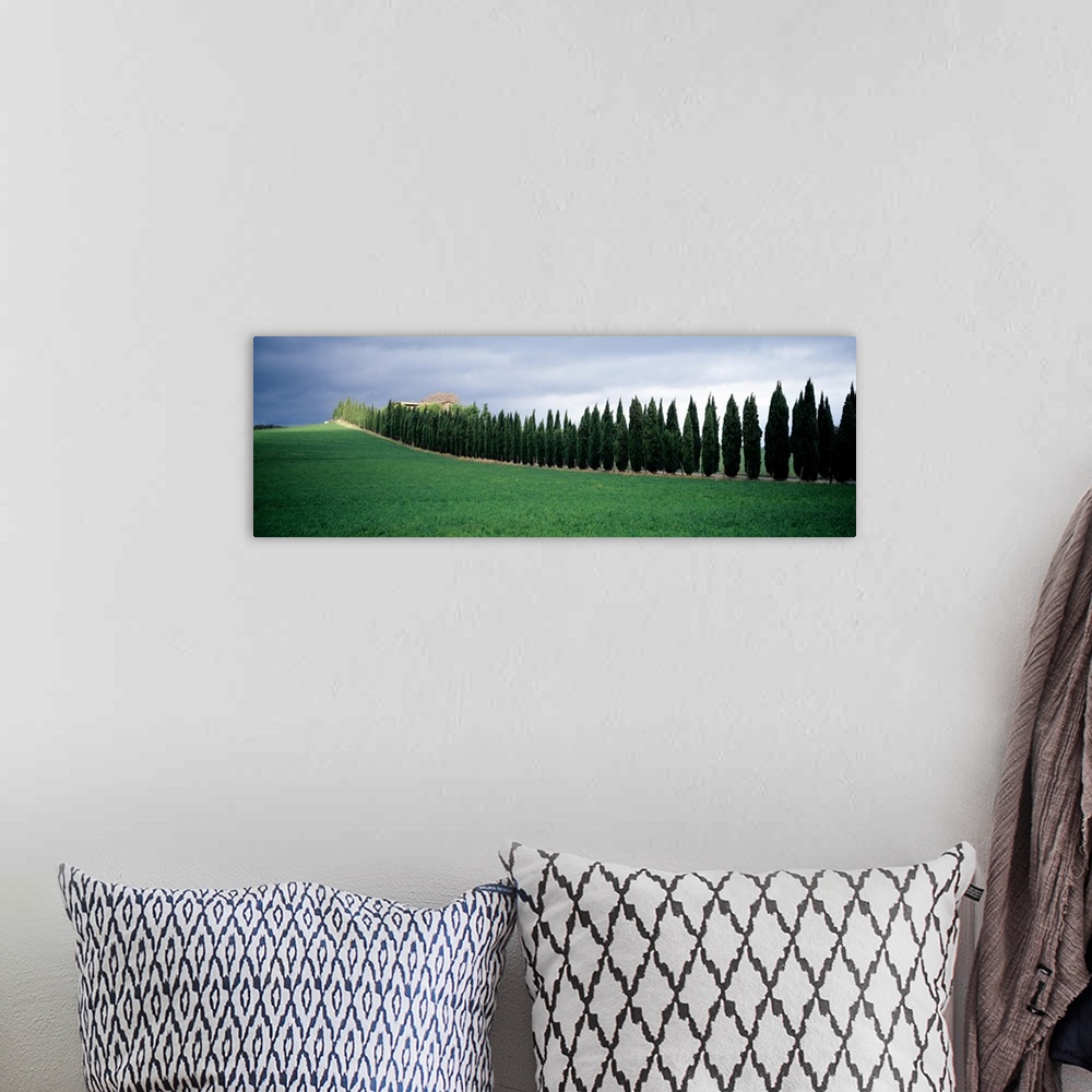 A bohemian room featuring Trees Tuscany Italy
