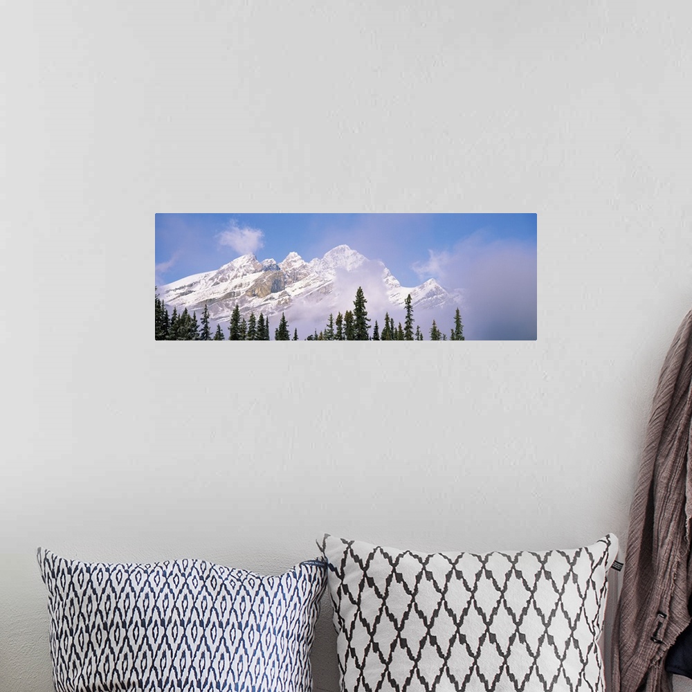 A bohemian room featuring Trees with a mountain in the background, Alberta's Rockies, Banff, Alberta, Canada