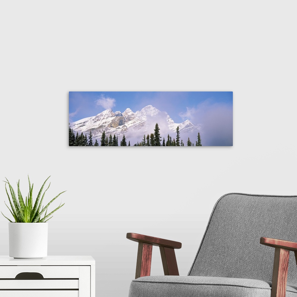 A modern room featuring Trees with a mountain in the background, Alberta's Rockies, Banff, Alberta, Canada