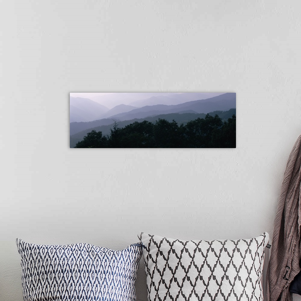 A bohemian room featuring Trees with a mountain range in the background, Blue Ridge Parkway, North Carolina