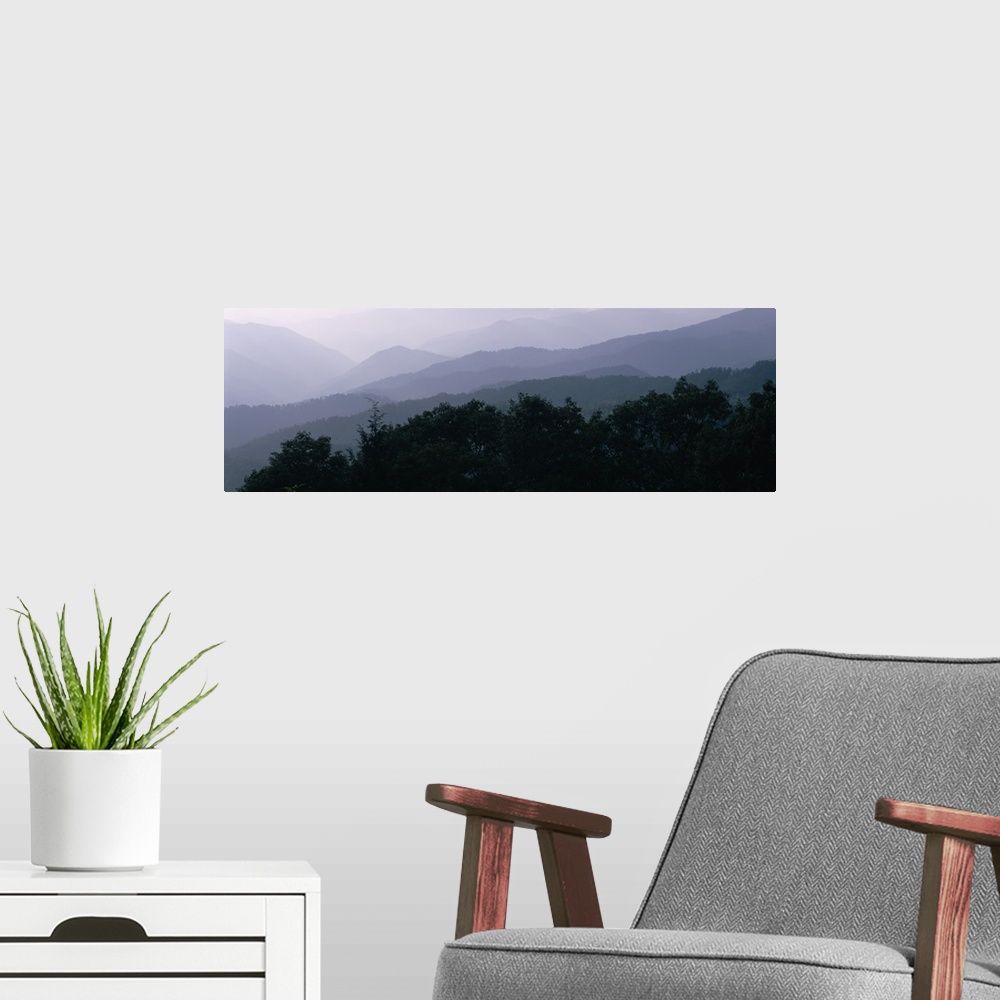 A modern room featuring Trees with a mountain range in the background, Blue Ridge Parkway, North Carolina