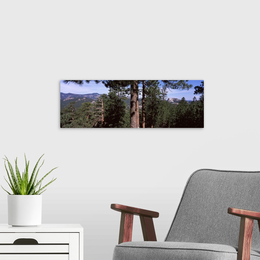 A modern room featuring Trees with mountains in the background, Harney Peak, Mt Rushmore National Monument, Custer County...