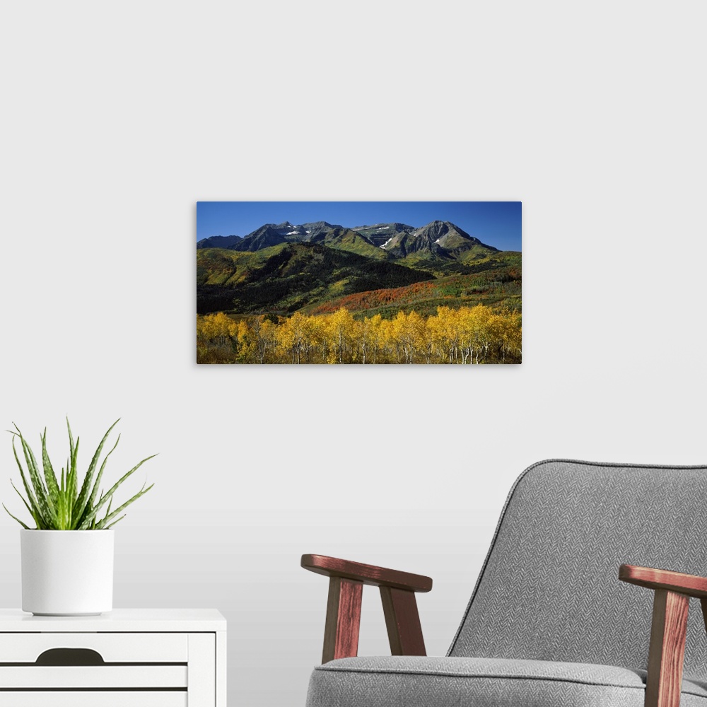 A modern room featuring Autumn trees fill the foreground and mountains rise out of the landscape behind them in this hori...