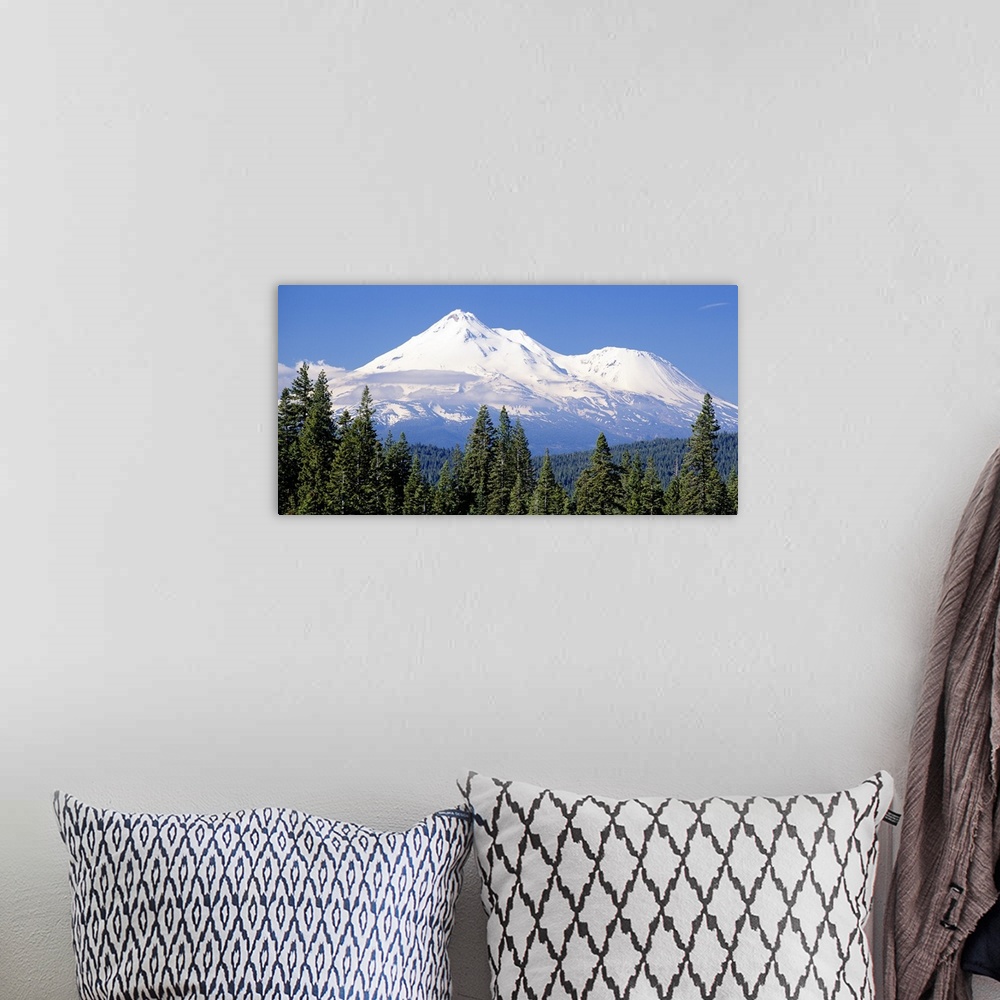 A bohemian room featuring This large piece photographs pine trees in the foreground with a large snow topped mountain in th...
