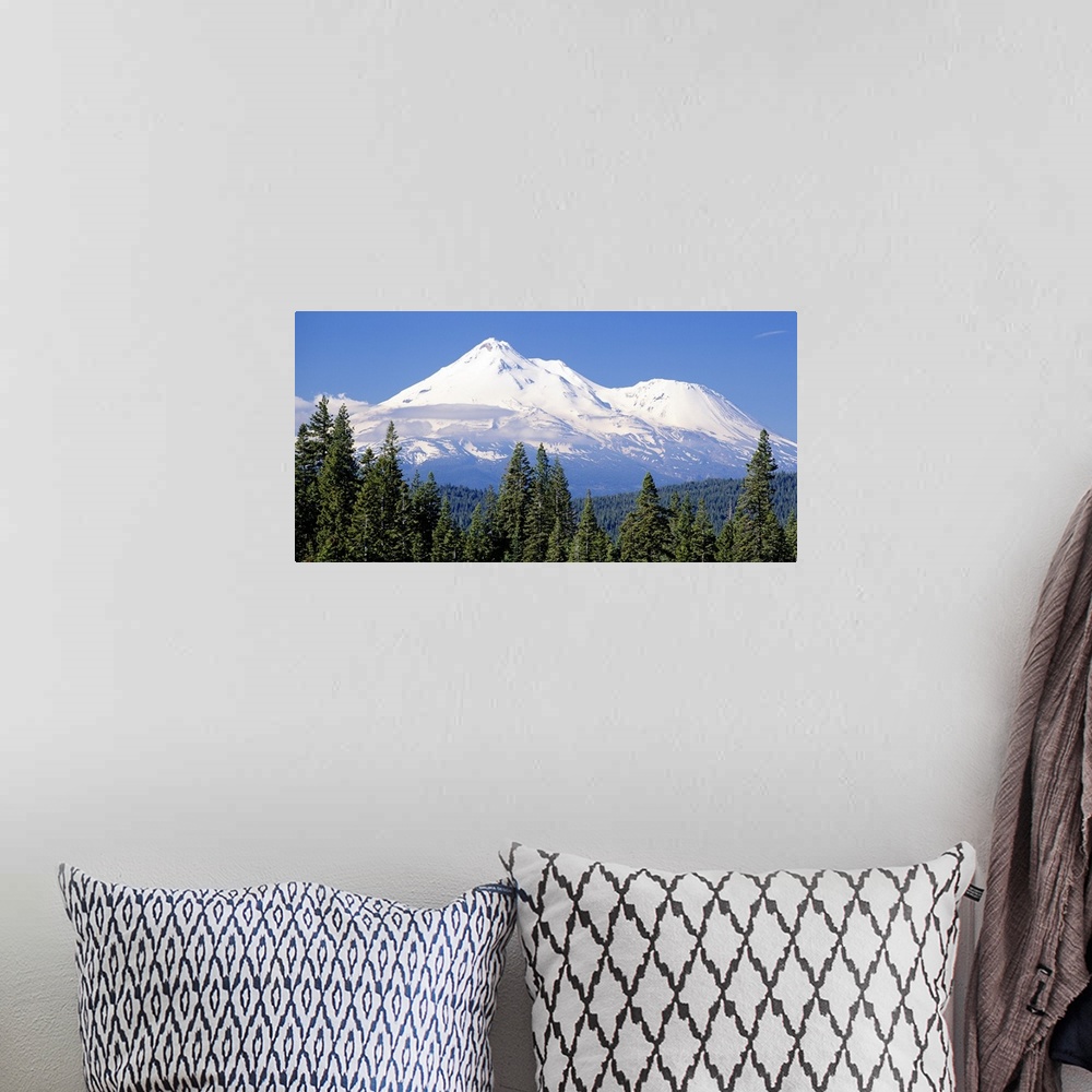 A bohemian room featuring This large piece photographs pine trees in the foreground with a large snow topped mountain in th...