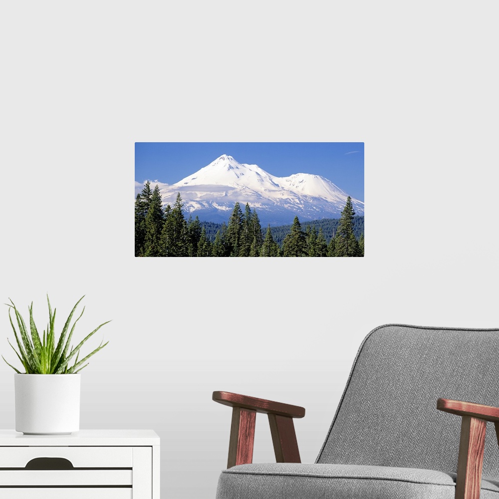 A modern room featuring This large piece photographs pine trees in the foreground with a large snow topped mountain in th...