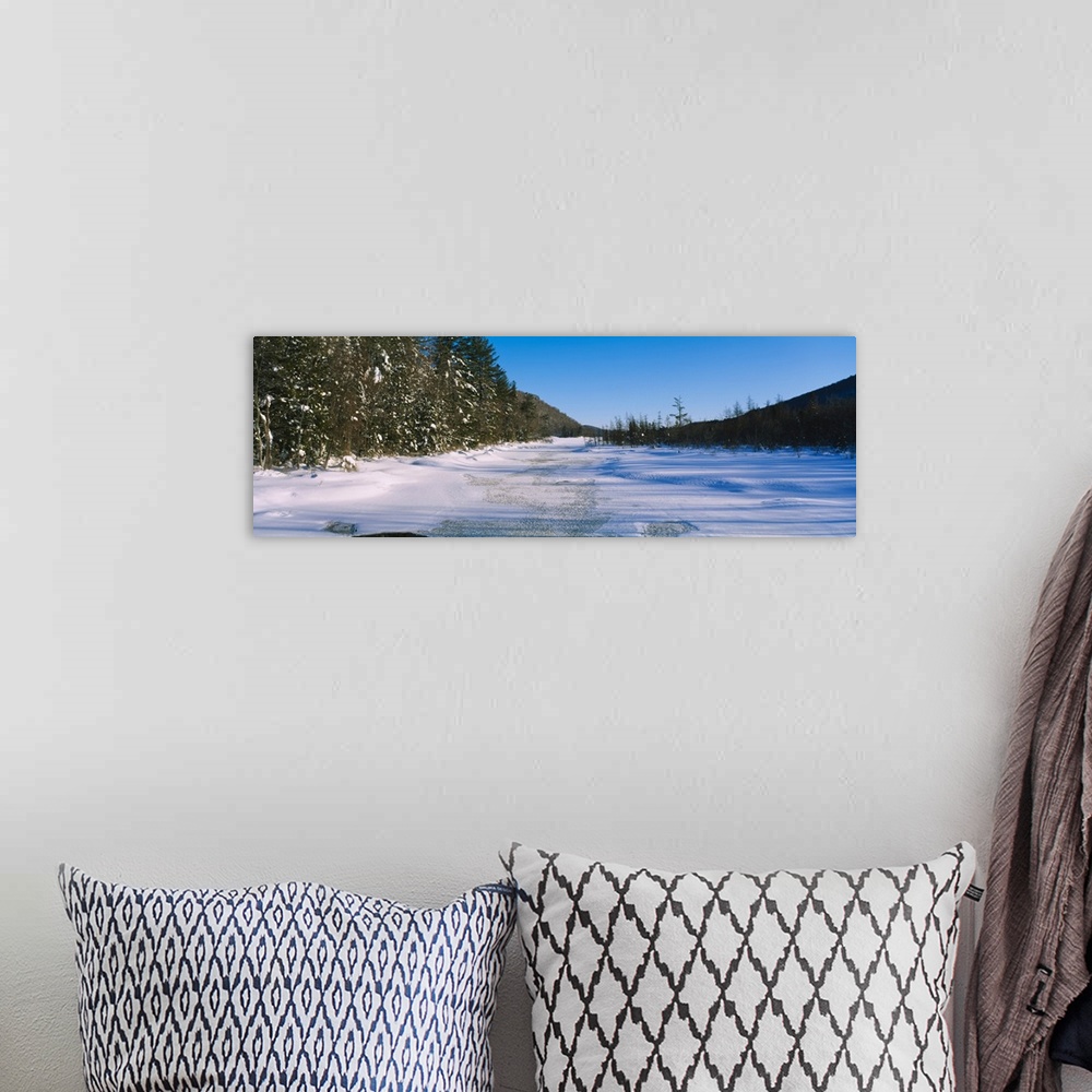 A bohemian room featuring Tress along a frozen lake, Piseco Lake, Oxbow Lake, Adirondack Mountains, New York State