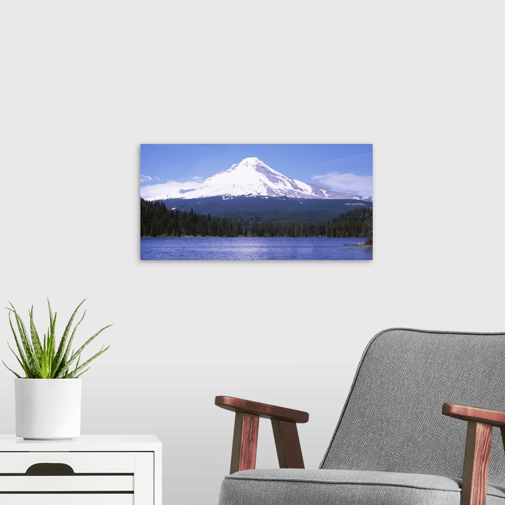 A modern room featuring Trillium Lake Mount Hood OR