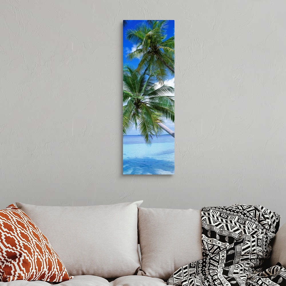 A bohemian room featuring This vertical, panoramic photograph shows a close up of palm fronds over clear ocean waters.