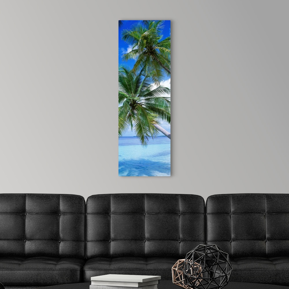 A modern room featuring This vertical, panoramic photograph shows a close up of palm fronds over clear ocean waters.