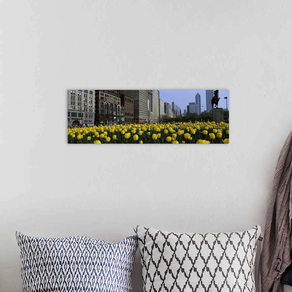 A bohemian room featuring Tulips along South Michigan Avenue, Chicago, Illinois