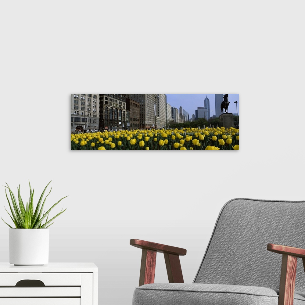 A modern room featuring Tulips along South Michigan Avenue, Chicago, Illinois
