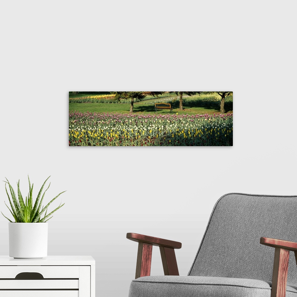 A modern room featuring Tulips in a field, Grand Rapids, Michigan