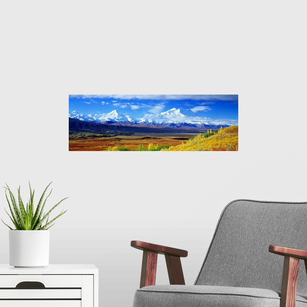 A modern room featuring A large panoramic photograph of Mount McKinley taken from afar with terrain and grasslands in the...