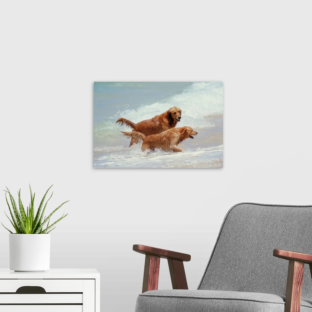 A modern room featuring Two Golden Retrievers in the surf in Hawaii