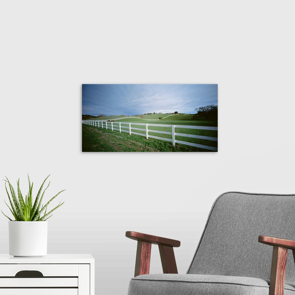 A modern room featuring Two horses in a field, Los Olivas, California