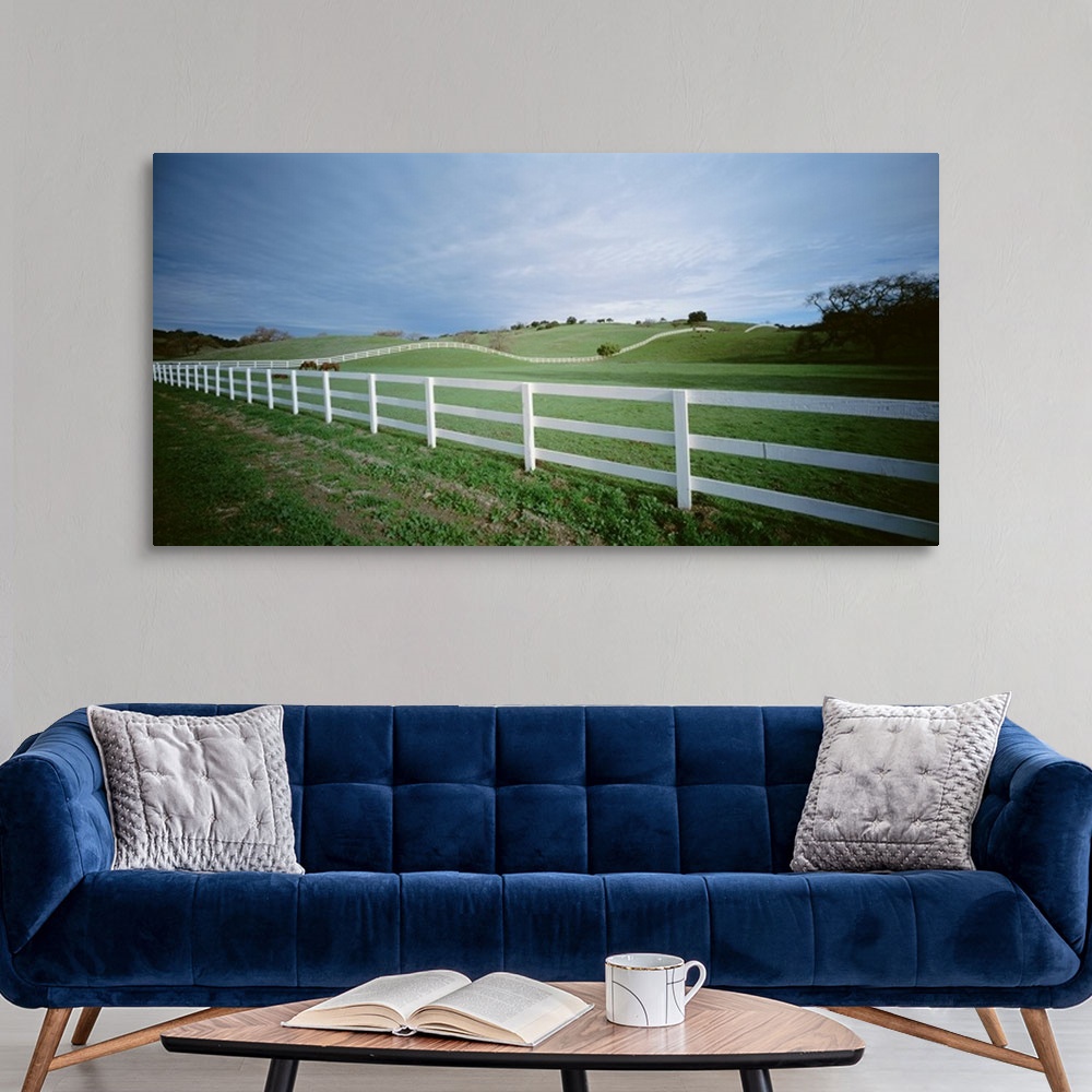 A modern room featuring Two horses in a field, Los Olivas, California