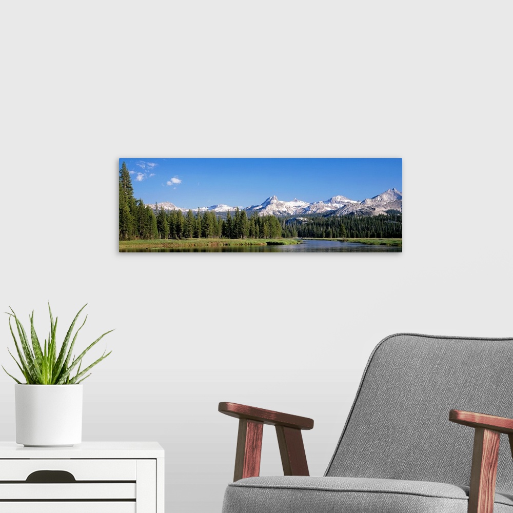 A modern room featuring Unicorn Corkscomb Cathedral Peaks Tuolumne River Yosemite National Park CA