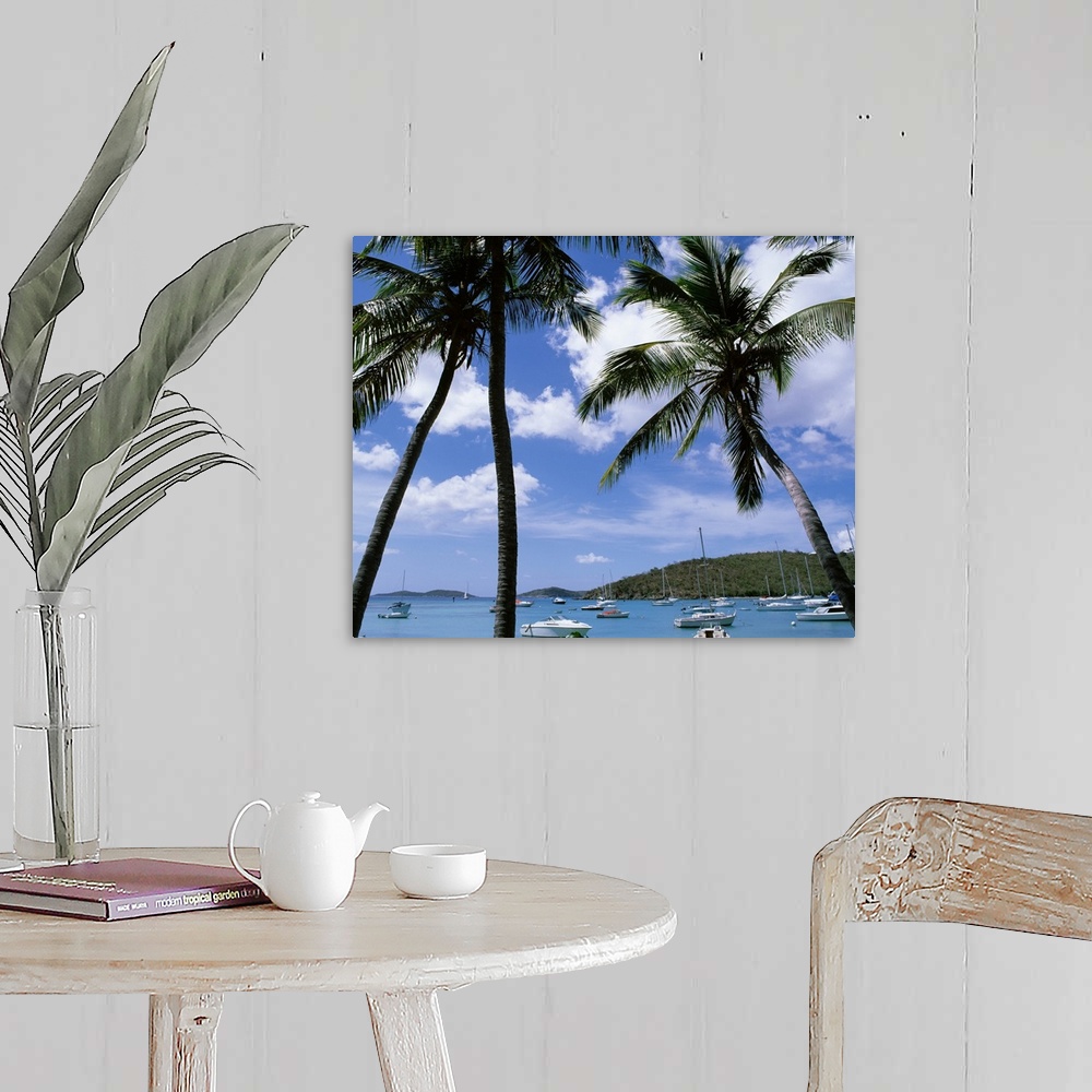 A farmhouse room featuring Tropical themed photo canvas with tall palm trees in front of an ocean full of a mixture of type ...