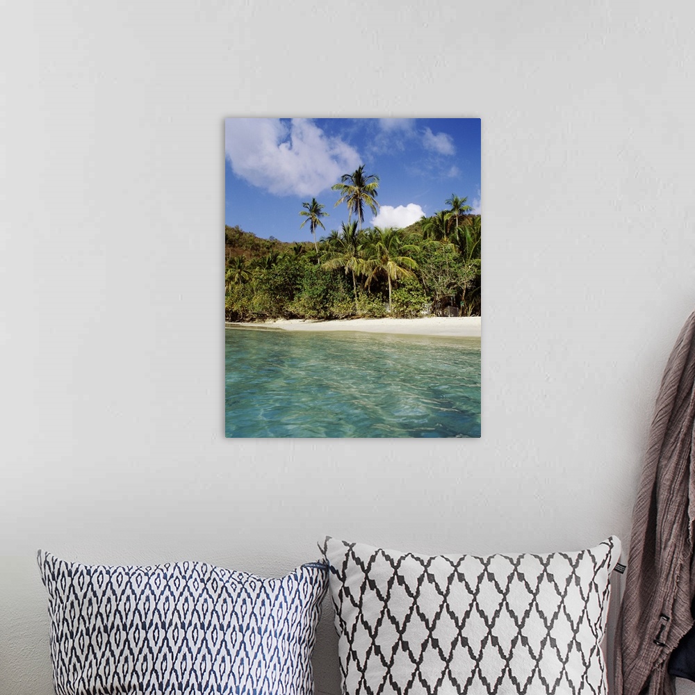 A bohemian room featuring US Virgin Islands, St. John, Palm tree on the Gibney's Beach