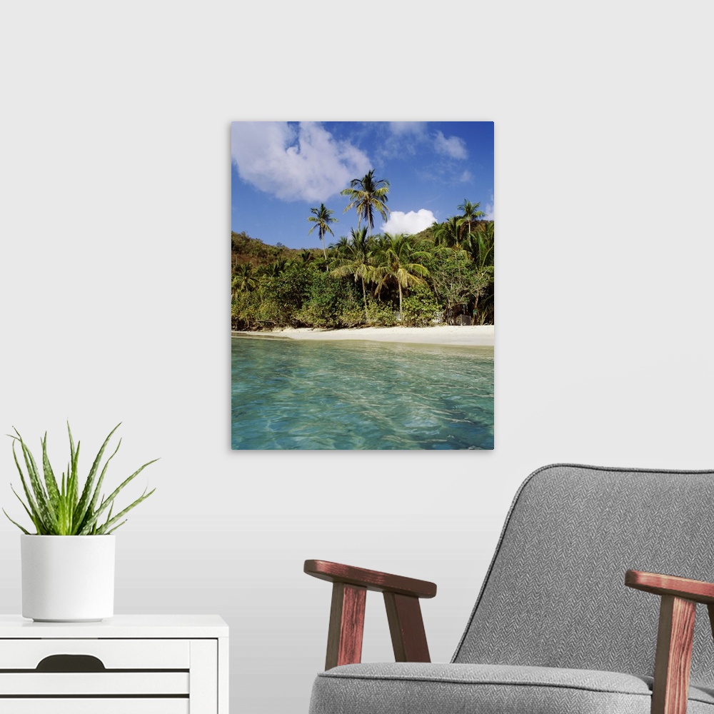 A modern room featuring US Virgin Islands, St. John, Palm tree on the Gibney's Beach