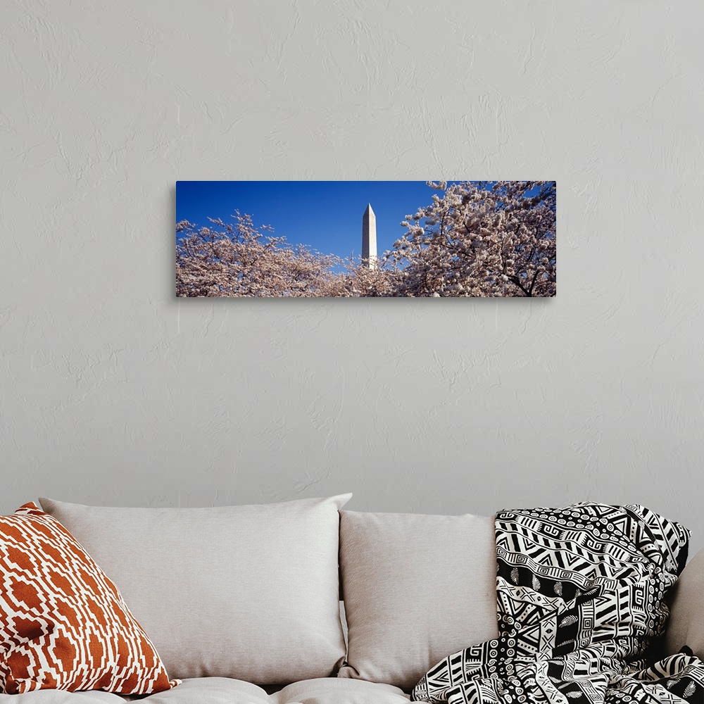 A bohemian room featuring US, Washington DC, Washington Monument with Cherry Blossoms