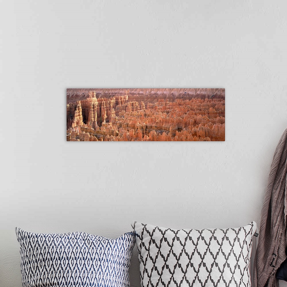 A bohemian room featuring Panoramic, aerial photograph on a big canvas of the jagged rock formations of the Grand Canyon, t...