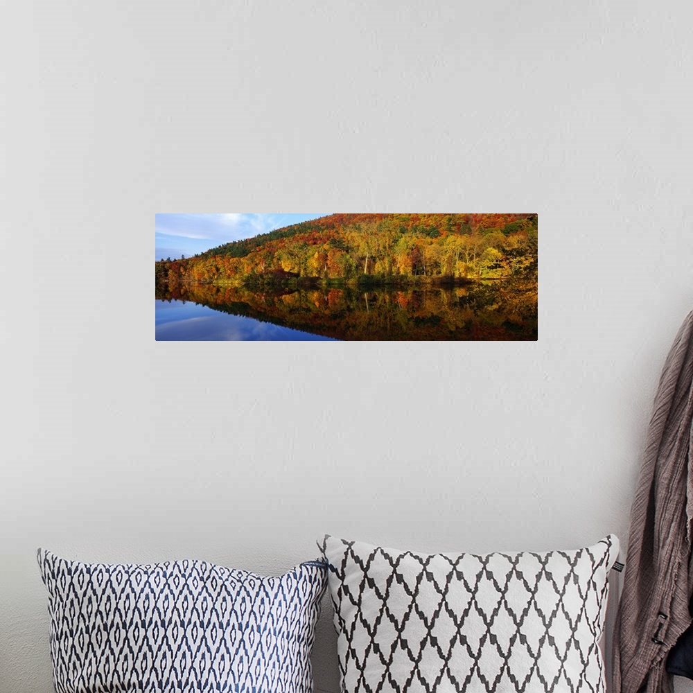 A bohemian room featuring Panoramic photograph of  river lined with autumn forest under a cloudy sky.  The tree line is ref...